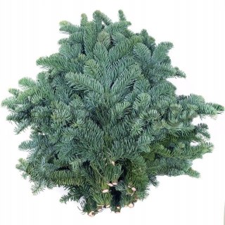 Nobilis 5 kg