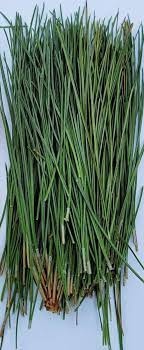 Pinus Naald Per Zak 500g - D
