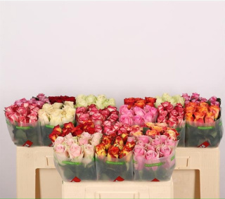 ROSA Gr MIX 50cm - 26DM