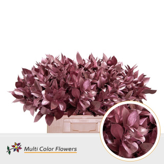 Ruscus Rose Gold H% 60cm - D