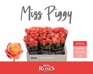 R GR MISS PIGGY+ EXTRA 50cm - D