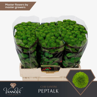 CHR S PEPTALK 55cm/1200G - D