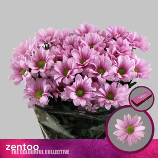 CHR T BALLERINA PINK 70cm - D