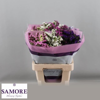 LIM S GEM 70cm - D