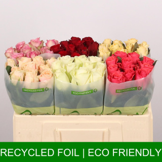 ROSA Gr MIX 50cm - 26DM