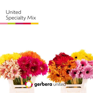 GE GR OV MIX 50cm - D