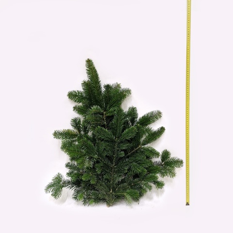 Stroisz łapka 70cm