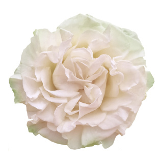 Ecuador - R Cotton X-pression 50cm