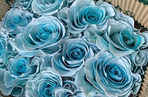 Ecuador - R GR Ocean Mist / Ligth Blue Tinted 60cm