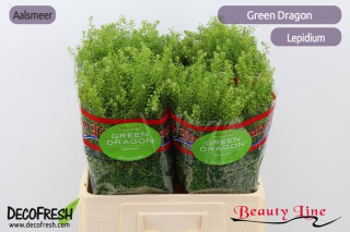 LEP VI GREEN DRAGON 60cm/30g - D