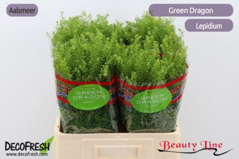 LEP VI GREEN DRAGON 60cm/30g - D