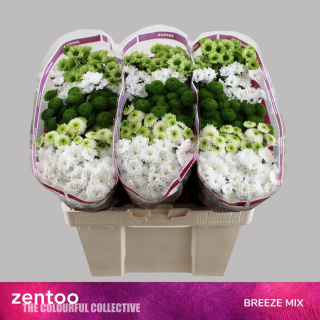 CHR S MIX BREEZE 55cm/1200G - D