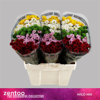 CHR S MIX WILD 55cm/1200G - D