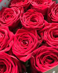 R GR RED NAOMI! 60cm - D