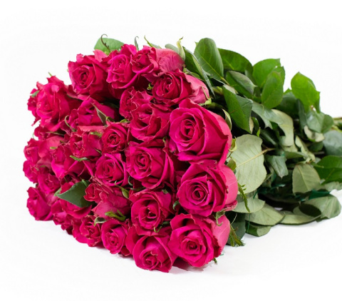 R GR Ever Pink 40 cm - D