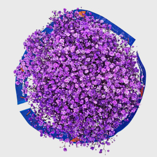 Gipsówka Violet 70cm-750 gr