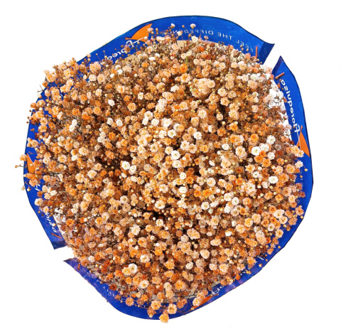 Gipsówka brzoskwiniowa 70cm -750 gr