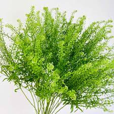 LEP RU GREEN BELL 70cm - D