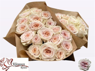 R GR MYSTIC MOMENTS 40cm - D