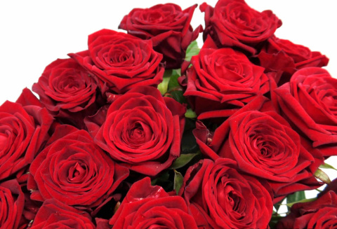 R GR RED NAOMI! 3-3 Optimaal 60cm -D
