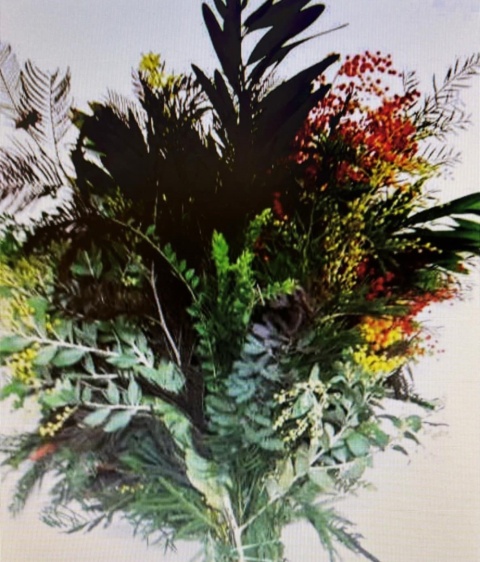 Mimosa Foliage Mix 200 gr - Liście
