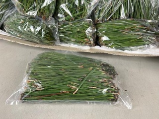 Pinus Naald Per Zak 500g - D