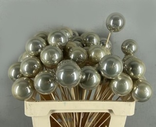 Stick Ball C. Ø6 Champ. Pearl 60cm - D