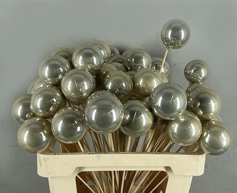 Stick Ball C. Ø6 Champ. Pearl 60cm - D