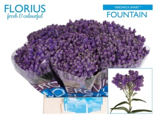 VERON SMART FOUNTAIN 40cm - D