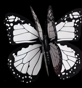 HUIS EN TUI Butterfly (bialy) H% - D