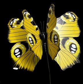 HUIS EN TUI Butterfly (żółty) H% - D