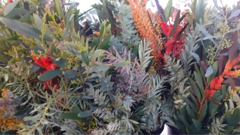 Mimosa Foliage Mix 200 gr - Liście