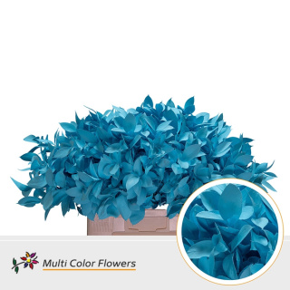 Ruscus Frost Blauw licht H% 60cm - D