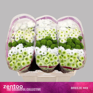 CHR S MIX BREEZE 55cm/1200G - D