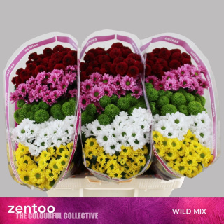 CHR S MIX WILD 55cm/1200G - D