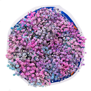 Gipsówka Rainbow Sweet 70cm-750 gr