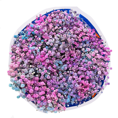 Gipsówka Rainbow Sweet 70cm-750 gr