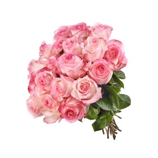 Ecuador - R Boulevard 50cm 26DM