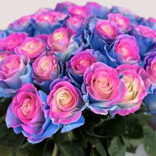 Ecuador - R GR Barbie Star TINTED 60cm 26DM