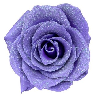 Ecuador - R GR GLIMMERING LILAC TINTED 60cm 26DM