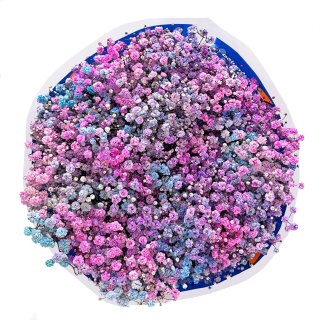 Gipsówka Rainbow Sweet 70cm-750 gr 26DM