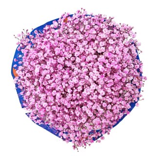 Gipsówka jasny róż 70cm-750 gr 26DM