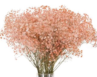 Gipsówka łososiowa 70cm -750 gr 26DM