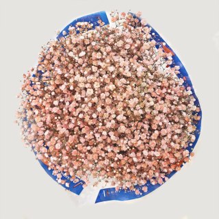 Gipsówka łososiowa 70cm -750 gr 26DM
