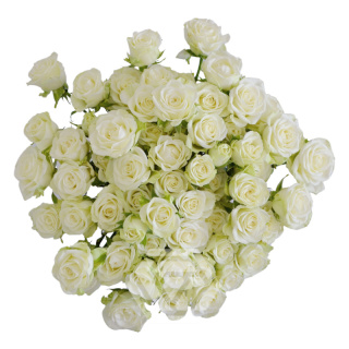 R TR SNOWFLAKE 40cm - D