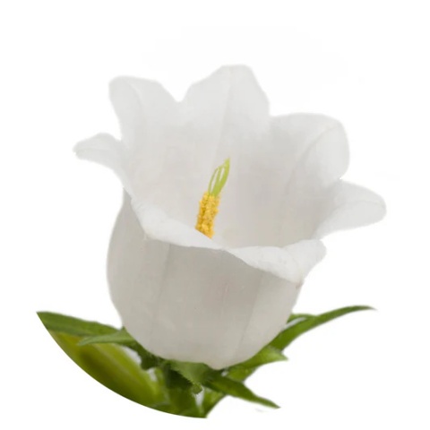 CAMP M CHAMPION WHITE 75cm - D