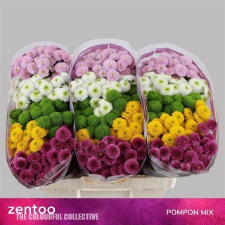CHR S POMPON GEM 55cm/1100g - D