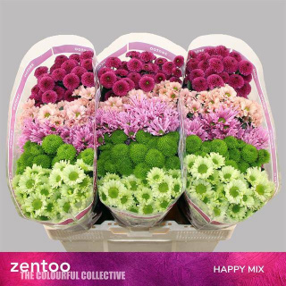 CHR S HAPPY MIX 55cm/1100g - D