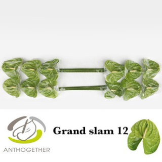 ANTH A GRAND SLAM 15 - D
