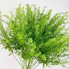 LEP RU GREEN BELL 75cm - D